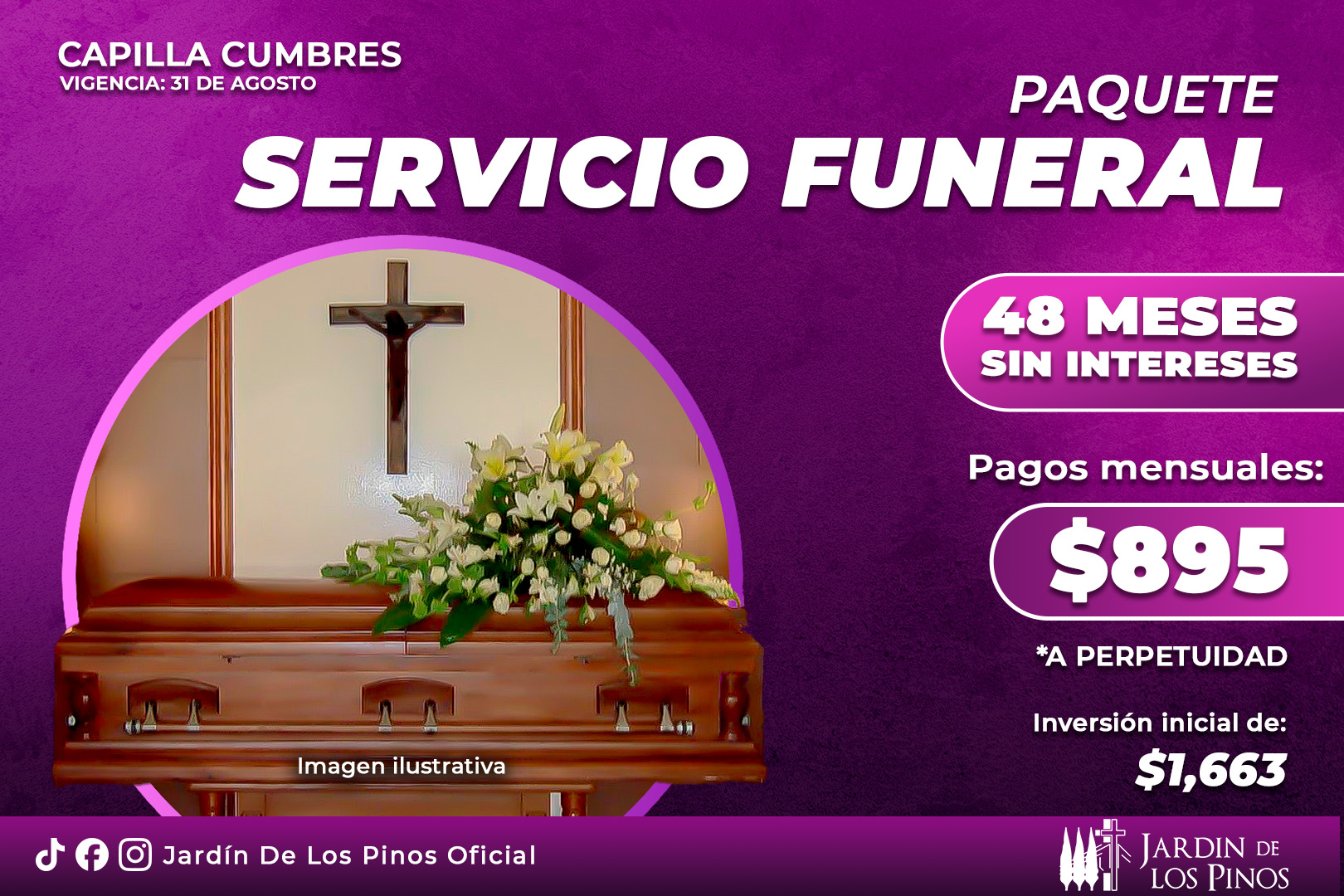 Promoción 6