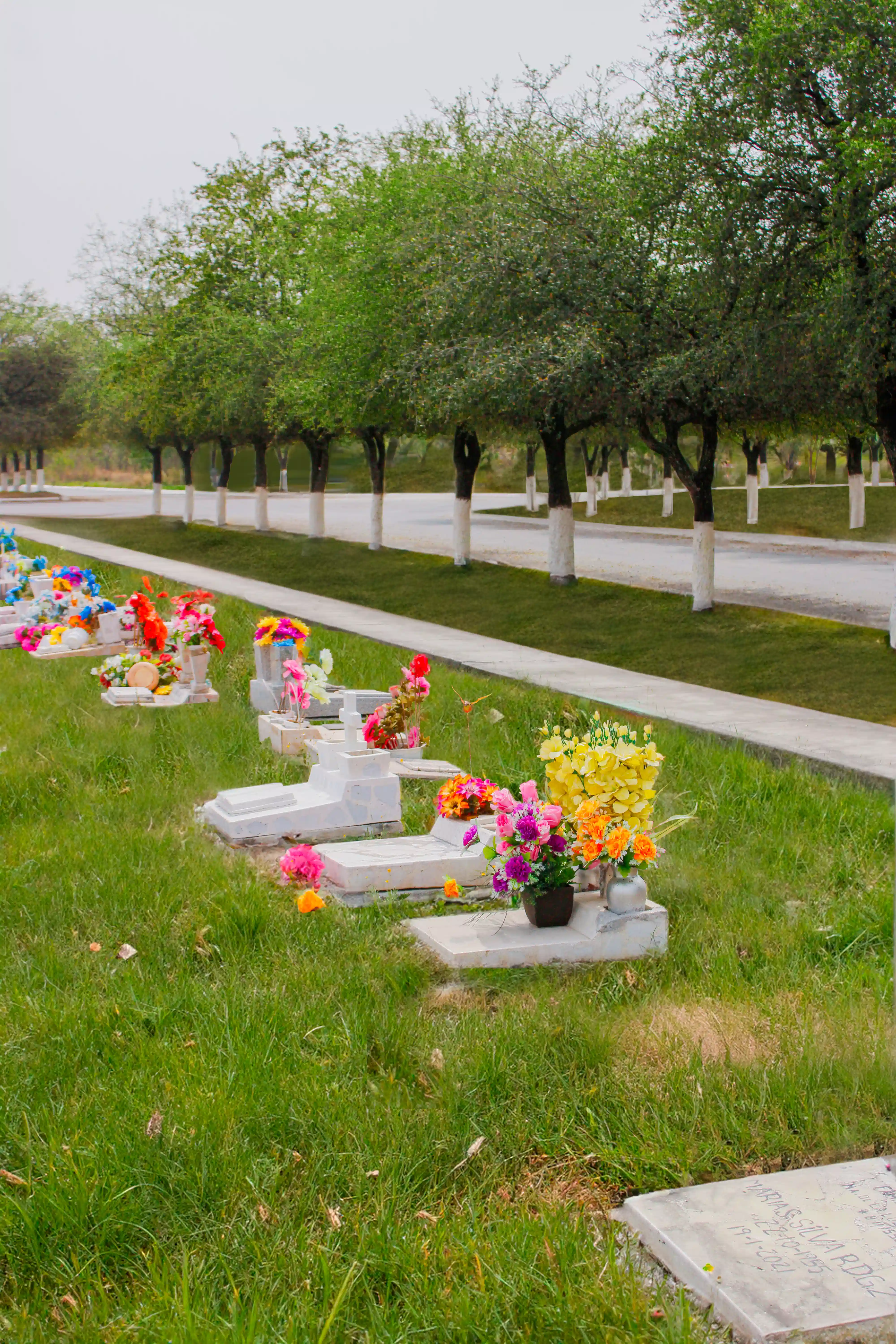 Imagen Obituarios